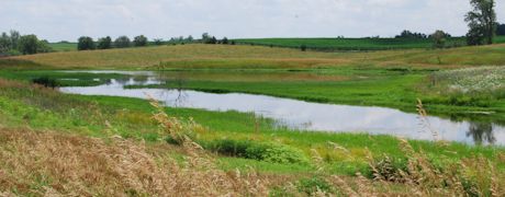 Water Runoff Affects Carbon “Locked” Into Plants