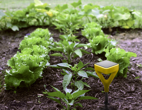 Solar-Powered Soil Sensor