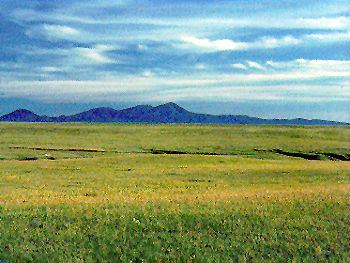 Forests and Grasslands Could Yield Less Water in Future Climate