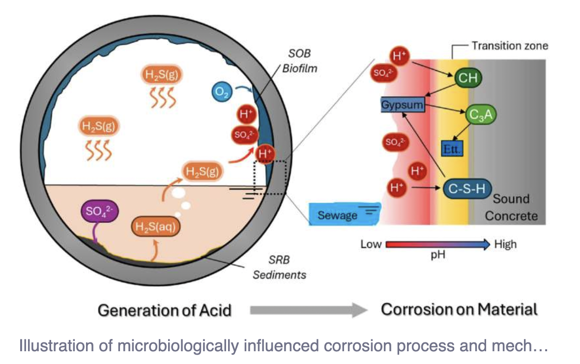 Engineers make a big splash, turning water treatment sludge into sustainable concreteby University of South Australiaedited by Lisa Lock, review...