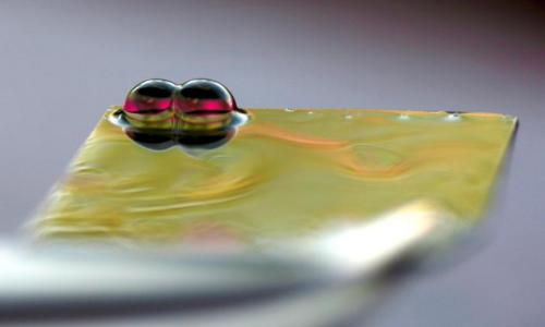 Novel technique enables air-stable water droplet networks