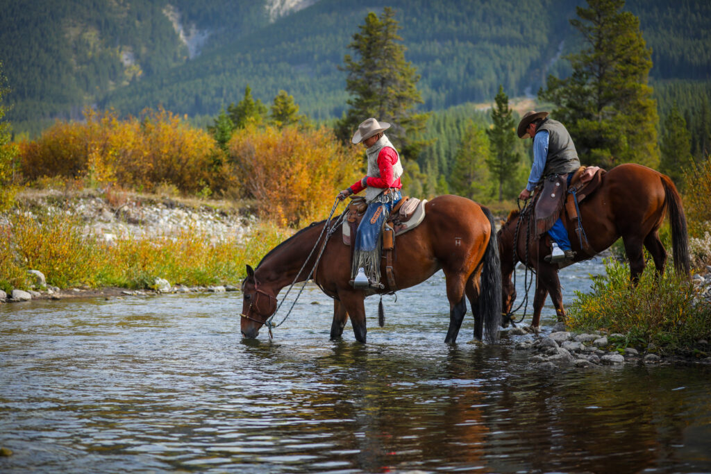 Alberta&rsquo;s &lsquo;back door&rsquo; plan to free up billions of litres of water for coal mines raises alarm | The Narwhal