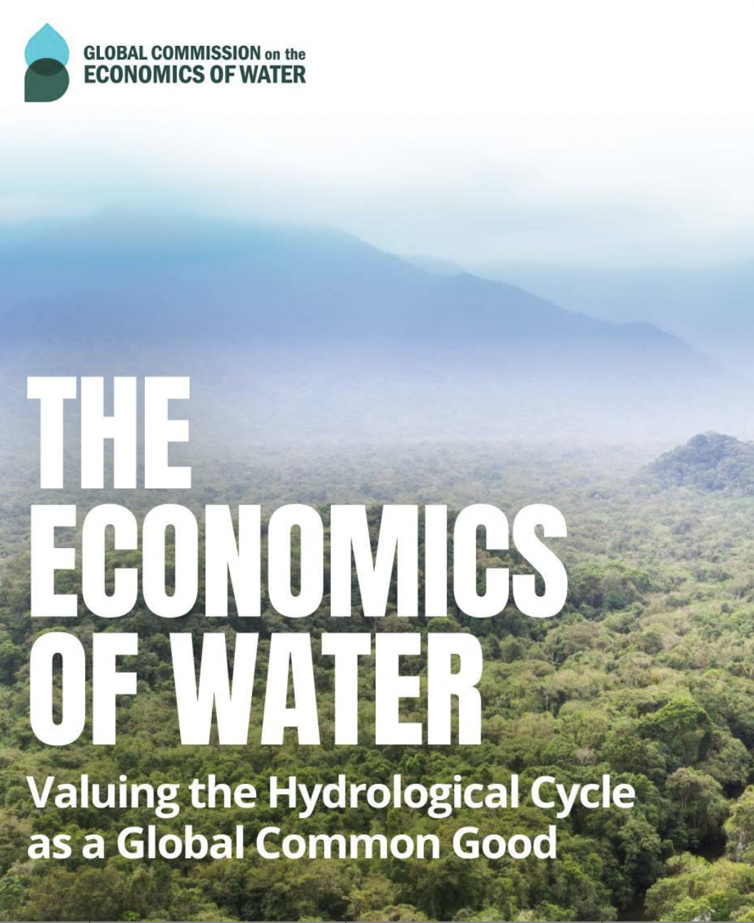 The Economics of Water