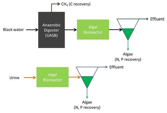 🌍💼Is the Alga treatment system an appropriate method for breaking down micropollutants, especially pharmaceuticals in wastewater? 💊🔬...