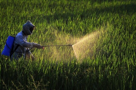 Pesticide Impact Rating Tool