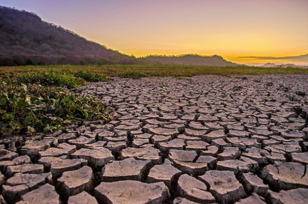 This Planet Is Drying Up. And these Are the Consequences