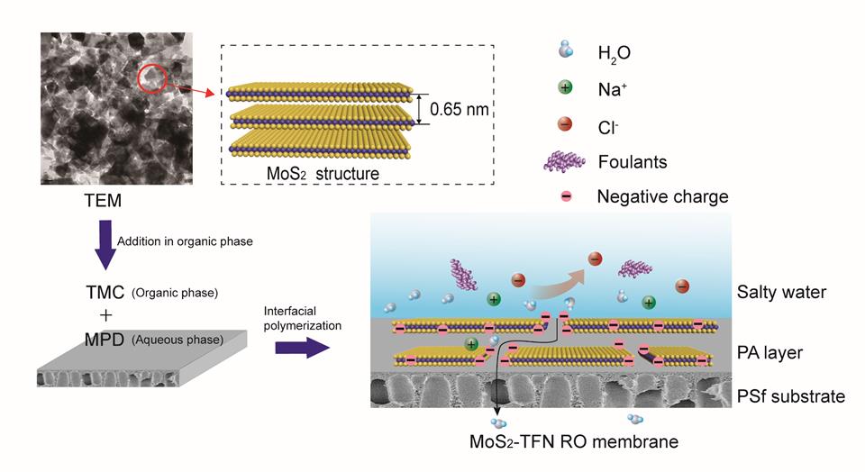 Researchers Fabricate Reverse Osmosis Membrane for Water Desalination