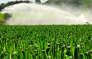 US & Israel to Study Use of Wastewater in Agriculture
