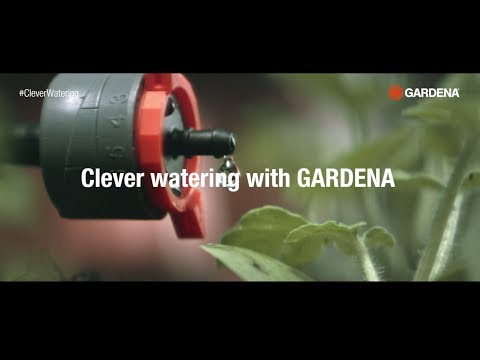 Clever Watering Tips and Tricks (Video)