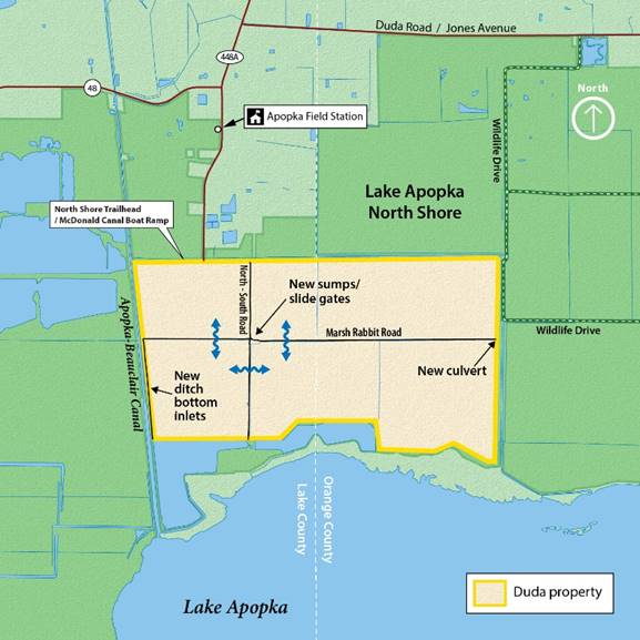 Board approves $2.19 million project to reduce phosphorus entering Lake Apopka - The Apopka Voice