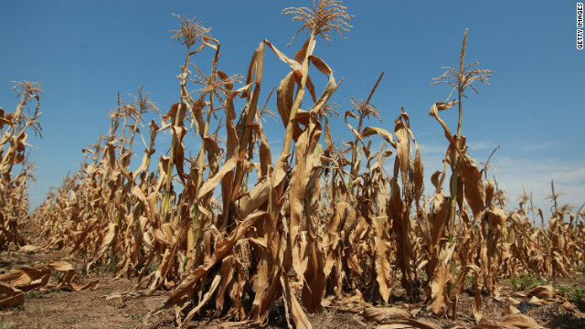 Drought-affected Farmers to Receive First Grants