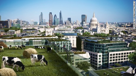 Can urban farms feed our cities?