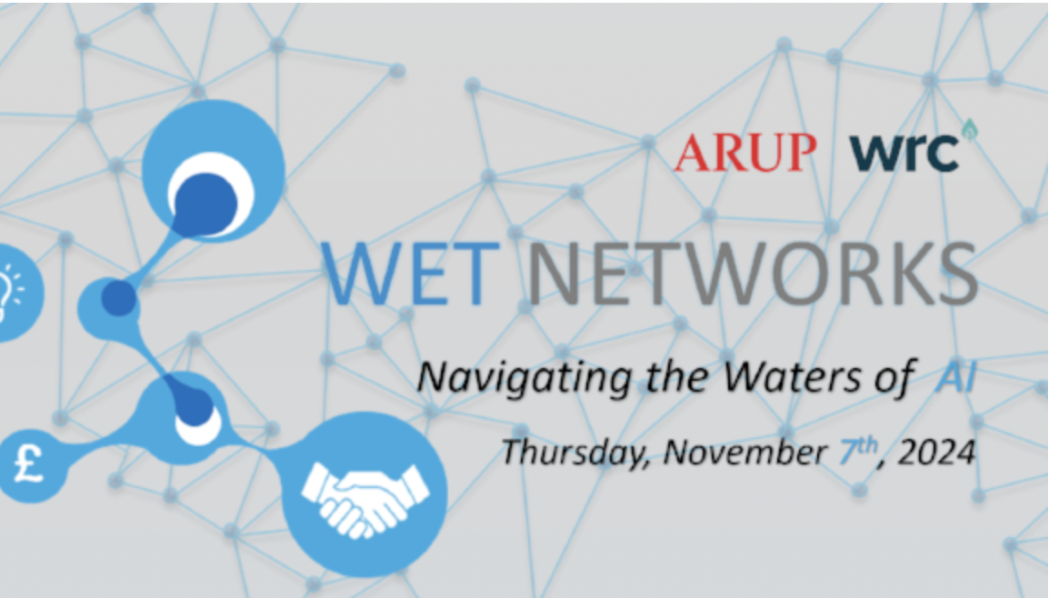 Wet Networks | Navigating the waters of AI