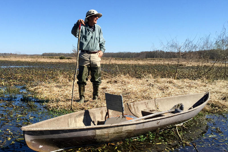 Can Sewage Save Wetlands? One Louisiana City Decided To Find Out