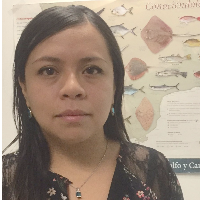 Lorena Torres Bernardino