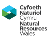 Environmental Engineer