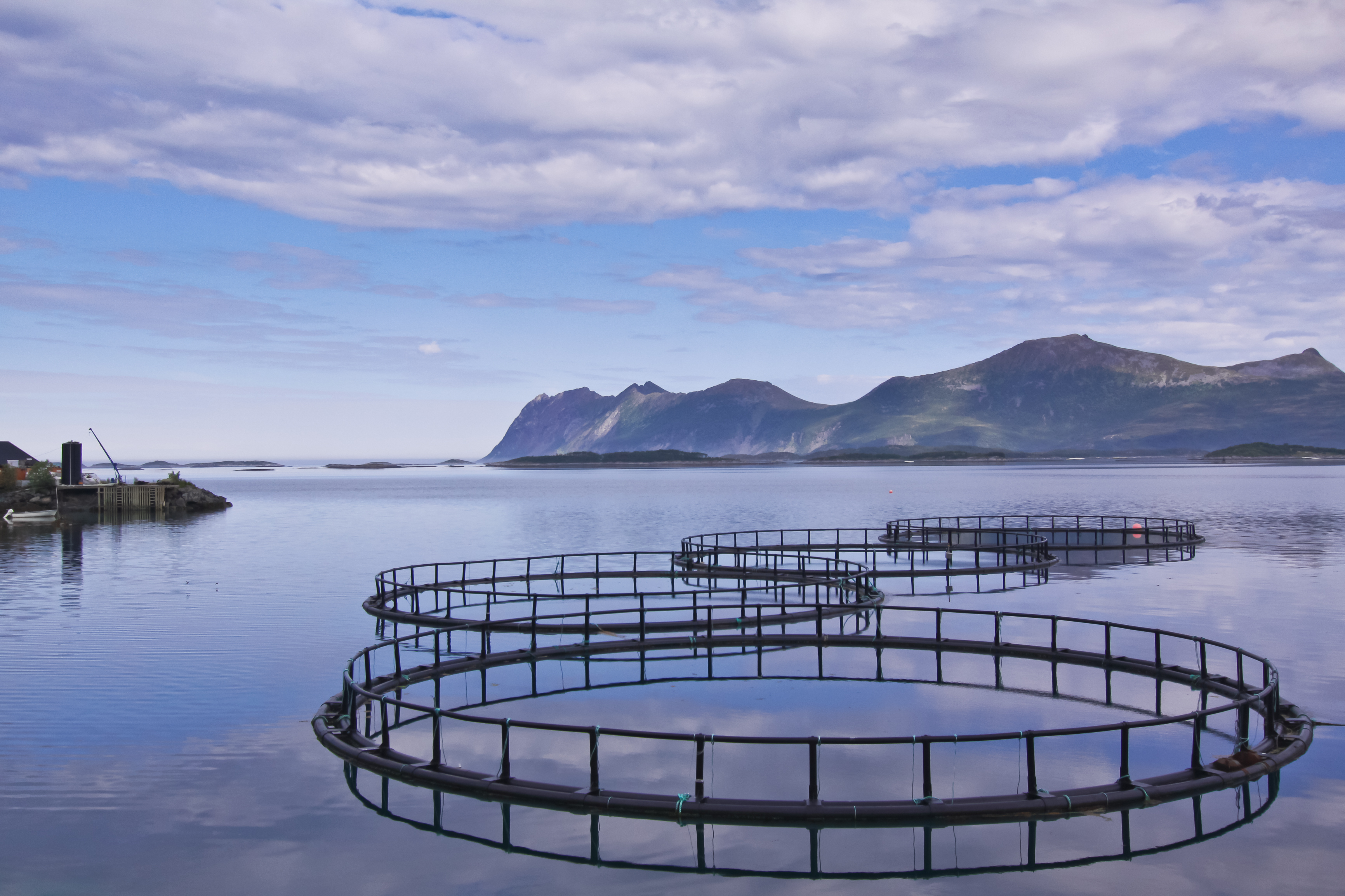 The Hidden Link Between Aquaculture Production and Freshwater Appropriation