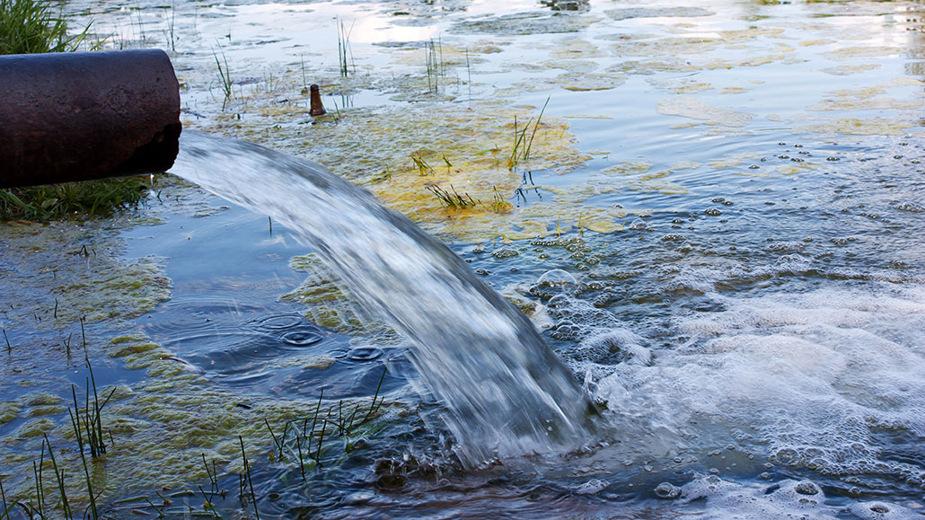 New water treatment process removes pollutants most now don&rsquo;tIt uses wood and charcoal to take out drugs and the nutrients that fuel algal blo...