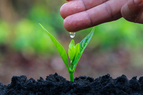 UN Urges Improved Water Access for Small Farmers