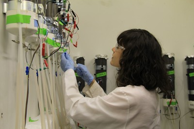 Bacterial research may lead to less polluted waters | Penn State University