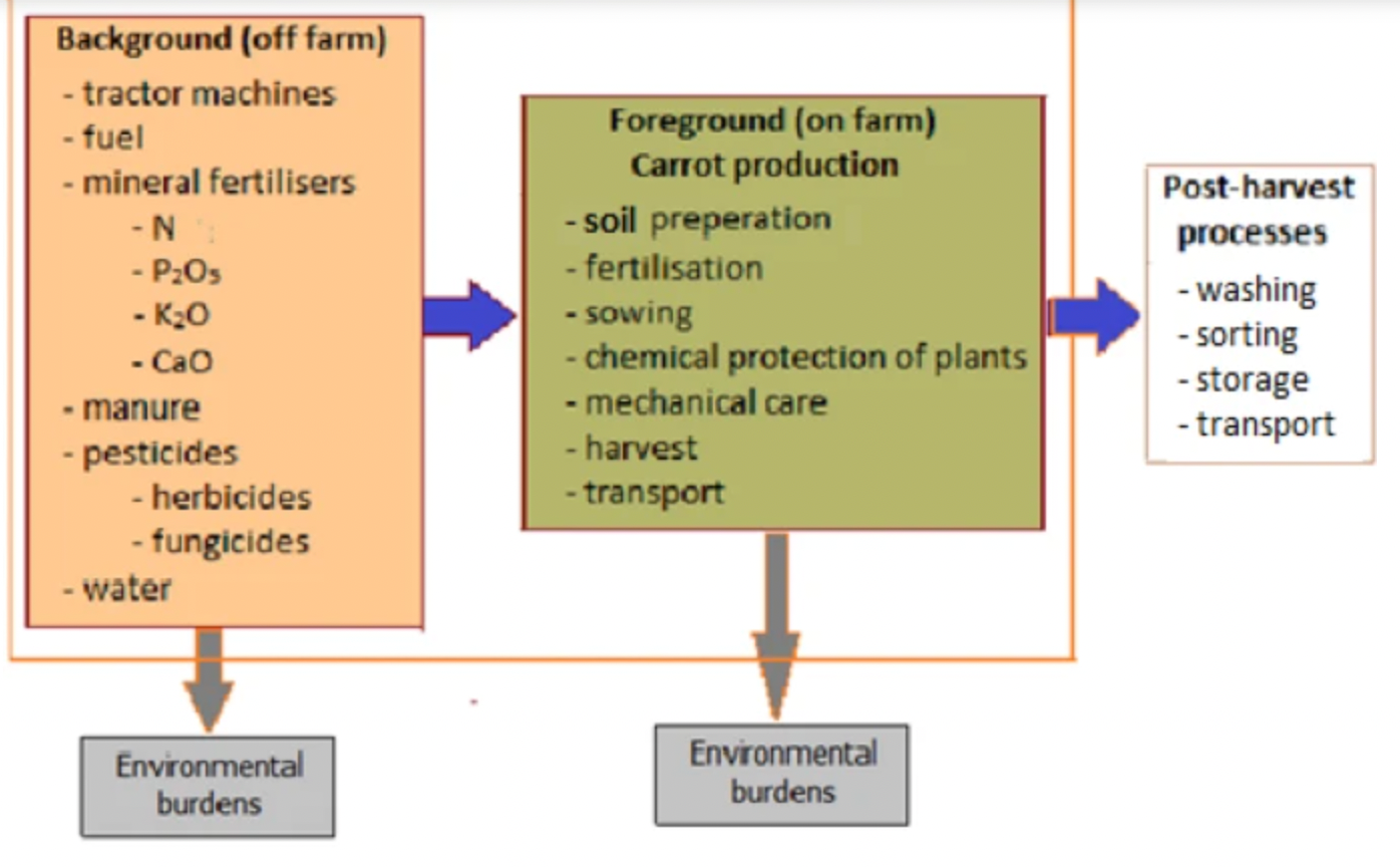 Assessing the impact of water use in conventional and organic carrot production in Poland