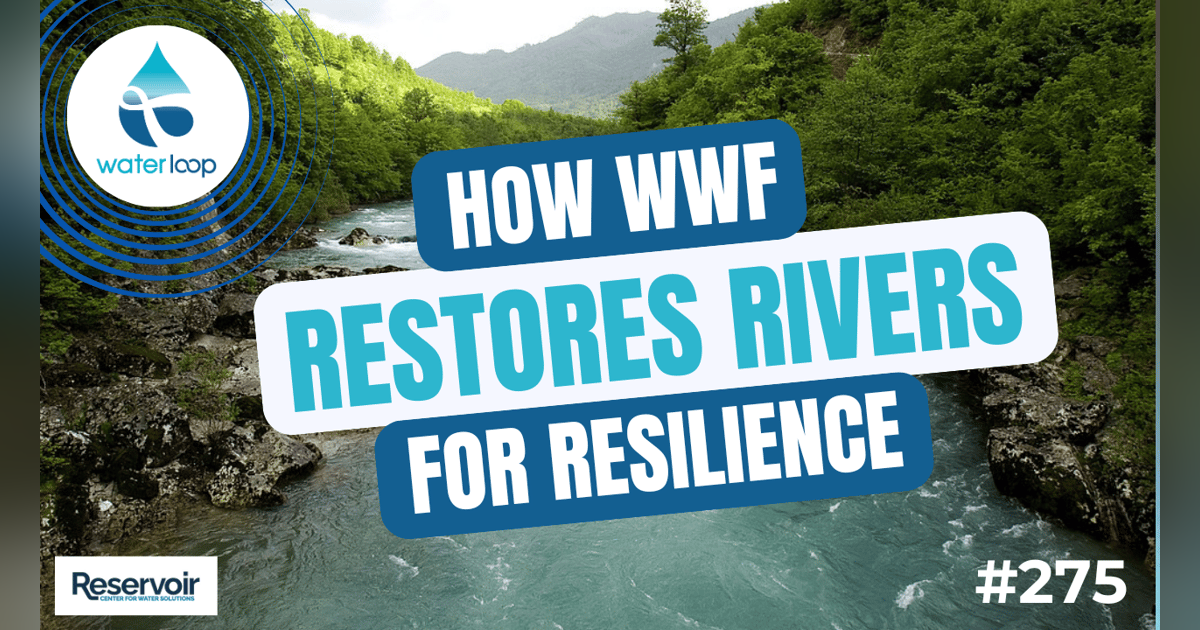 How WWF Restores Rivers For Resilience