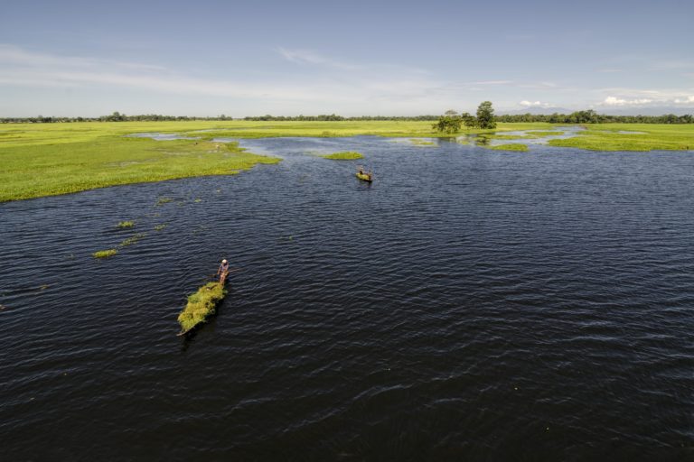 [Commentary] Latest wetland mapping data underscores the need to step up conservation action