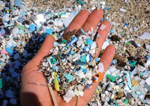 Petition Urges UK Government to Ban Plastic Microbeads