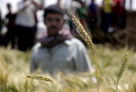 Egypt Looks to Avert Water Crisis Driven by Demand, Waste
