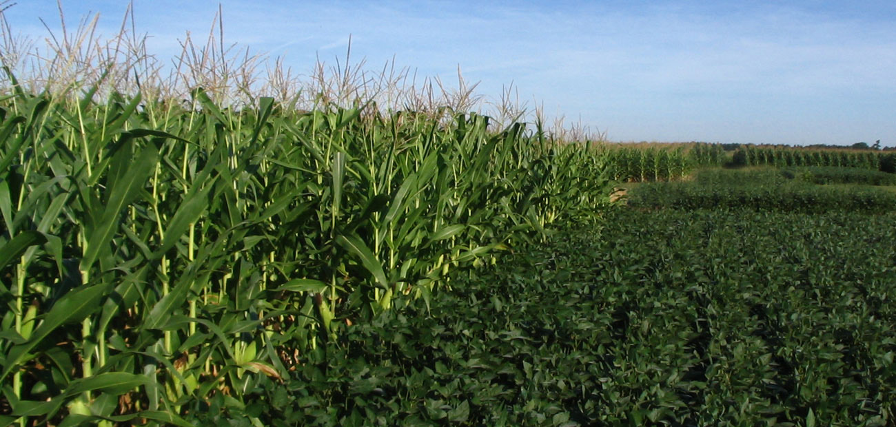 Understanding Changes in Raccoon River Nitrate – IIHR – Hydroscience & Engineering