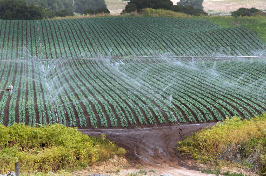 Researchers Use ​Satellite ​Images to ​Produce Annual ​Maps of ​Irrigation