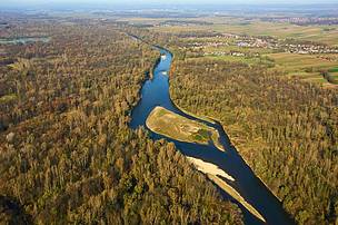 Scientists find over 500 dams are planned in Protected Areas