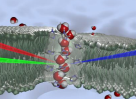 Artificial Bio-inspired Membranes for Water Filtration