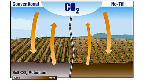 No-till, cover crops helping Texas grower fight drought