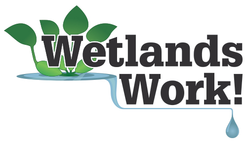 Wetlands Work