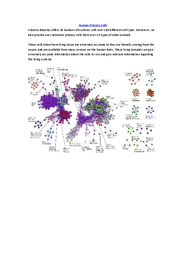 Creative Bioarray offers 35 human cell systems with over 160 different cell types. Moreover, we also provide our customers primary cells from ov...