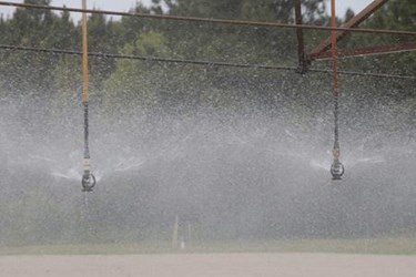 Reducing Water-Food Nexus Pressures In America
