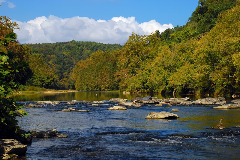 Maury River Restoration Project Begins