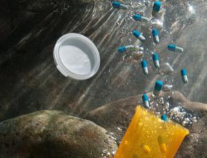 Male Fish ​Exposed to Chemicals in ​Water Becoming ​More Feminine