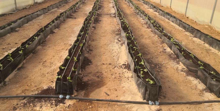 Water Innovations Technology project saved around 23mcm of groundwater in Jordan &mdash; USAID