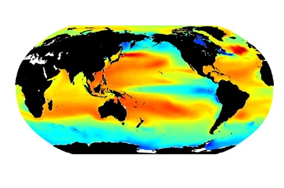 Research Suggests Marine Invasive Species Benefit from Rising CO2 Levels