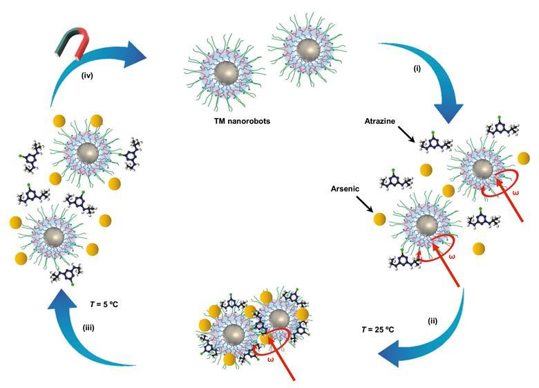 Nanobots snap up pollutants with their polymer ‘hands’ to clean up water