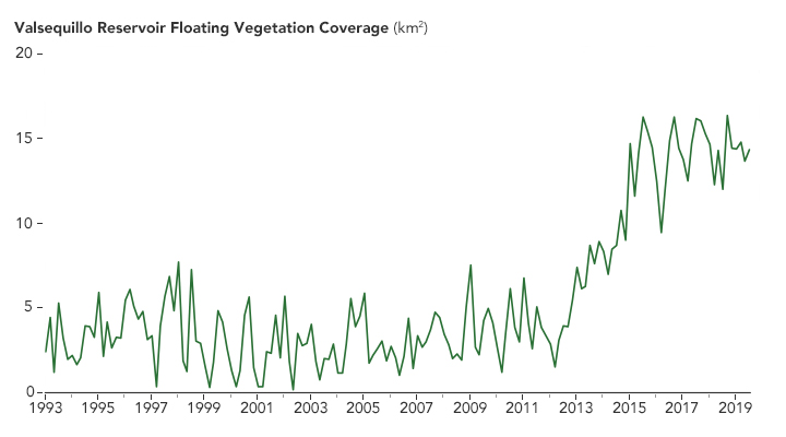 A Global Water Hyacinth Invasion