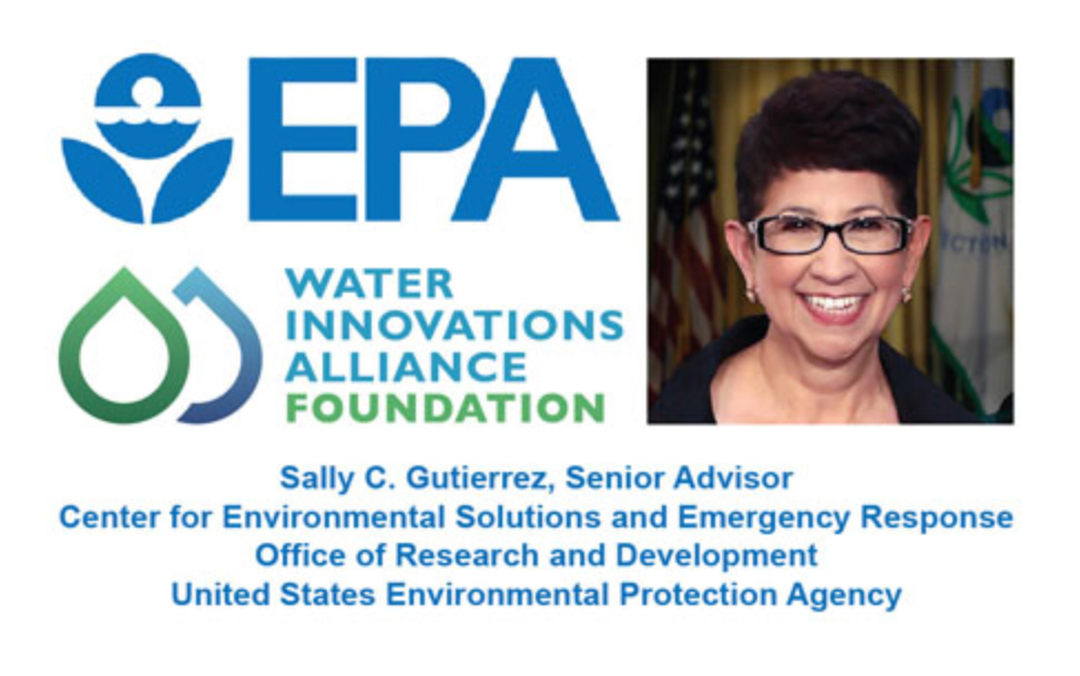 EPA Senior Advisor, Center for Environmental Solutions and E Response