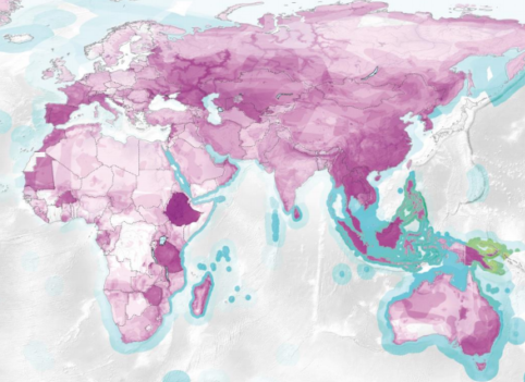 How Consumption Impacts Wildlife Thousands of Miles Away