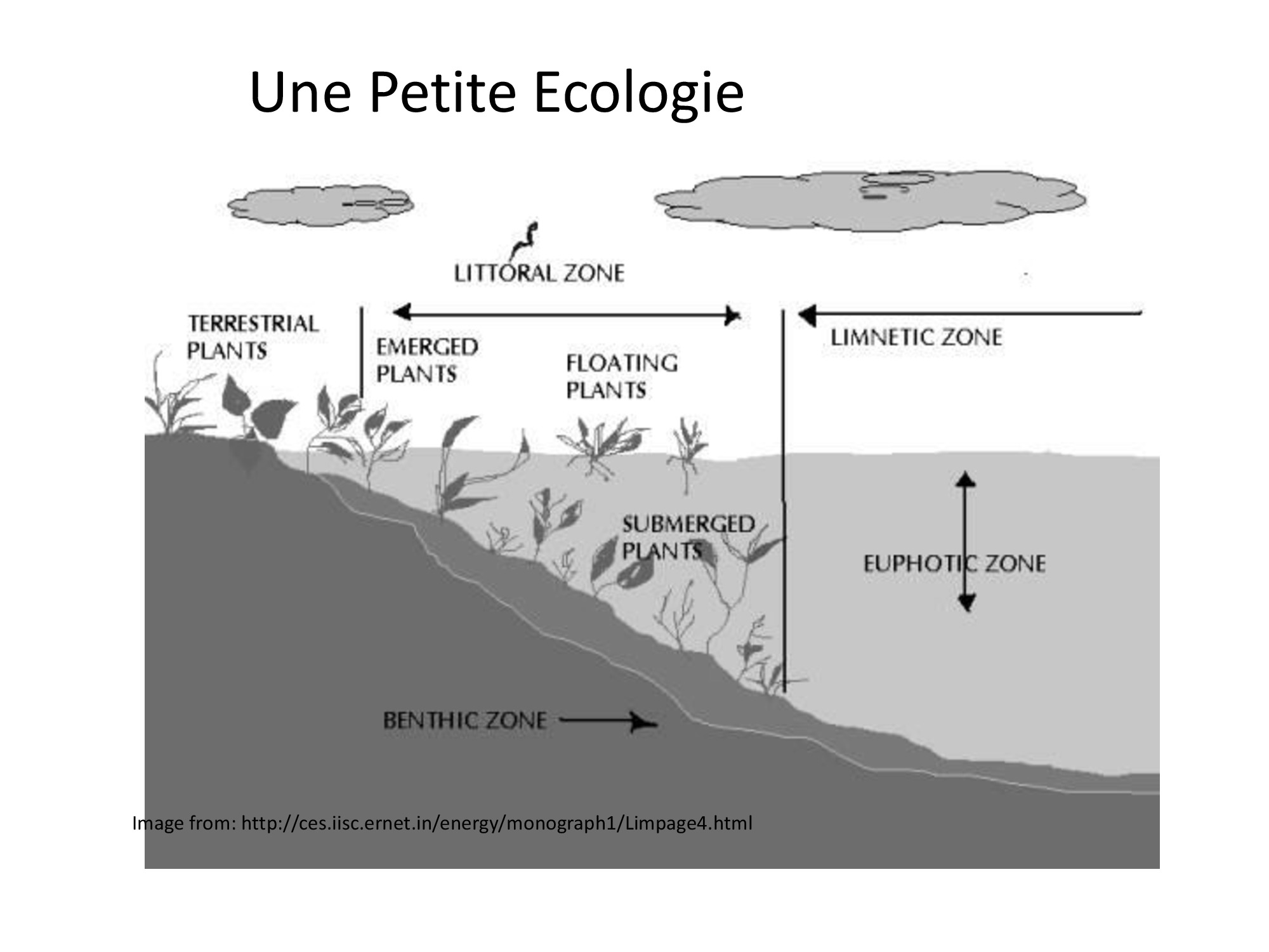 Presentation - TMT BENIN - Jour 4 - Introduction Wetlandsforum (en/fr)