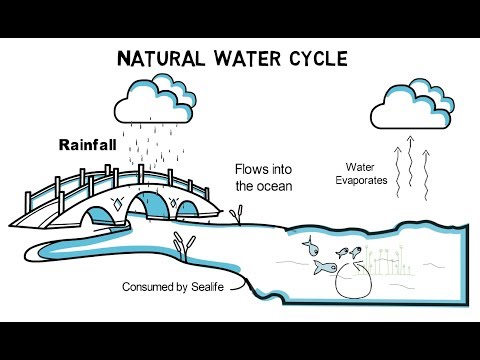 Drinking Water Cycle - How Many People Consumed My Tap Water Before Me? (Video Tutorial)