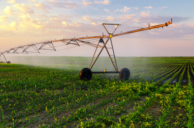 Reducing Water Use in Agriculture