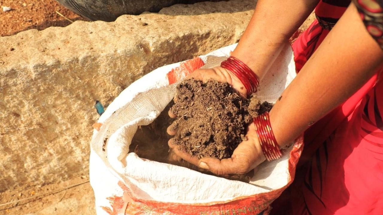 Focus - India's organic farming revolution