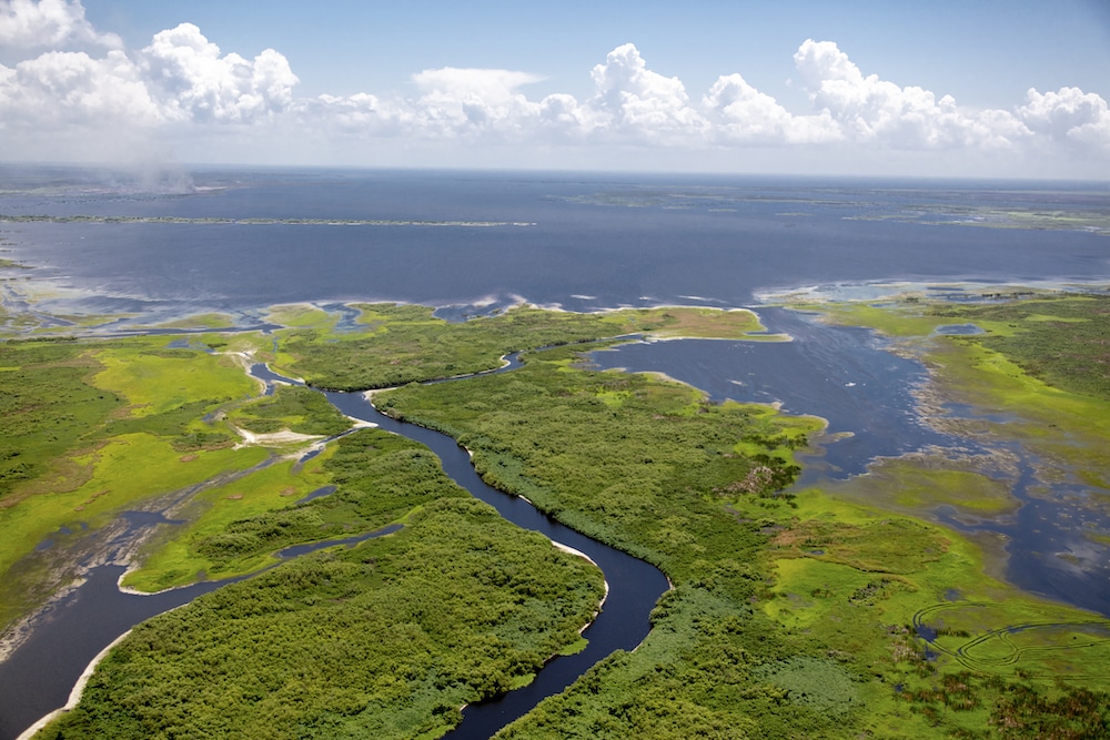 Restoring Florida Everglades Depends Upon Fixing State’s Freshwater Flow